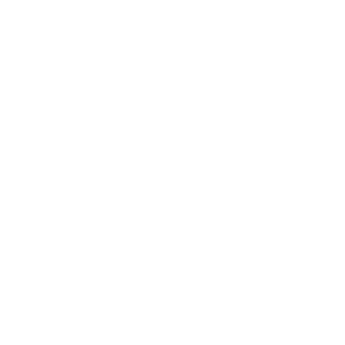 Del Torro